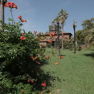 Bed & Breakfast Piaggetta, Quiesa